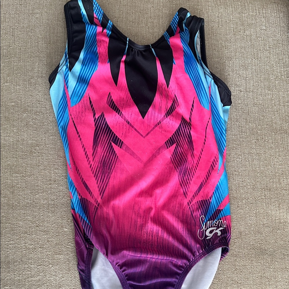 GK Simone AXS Pink and Blue Leotard